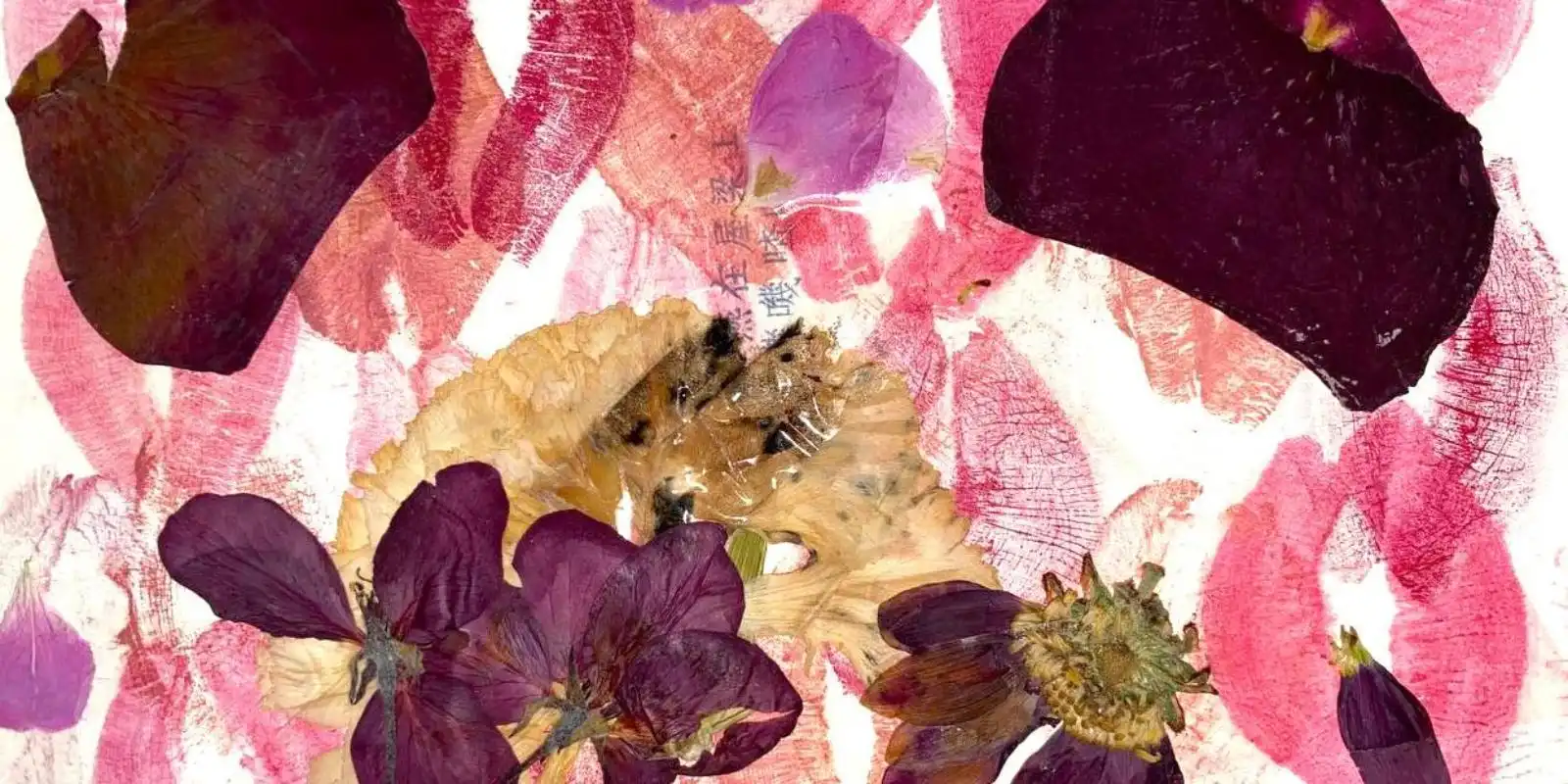 Mixed media collage of pressed flowers and lipstick prints, representing creative expression and visual art featured in ���Ǻ���’s Totem literary magazine