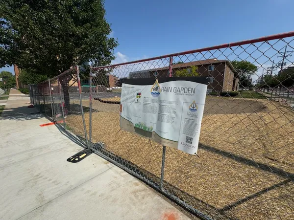 New Rain Garden in progress at 91 University