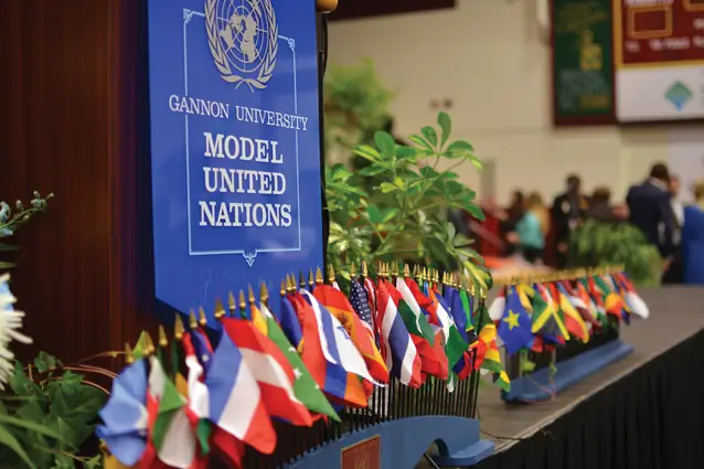Model UN Flags