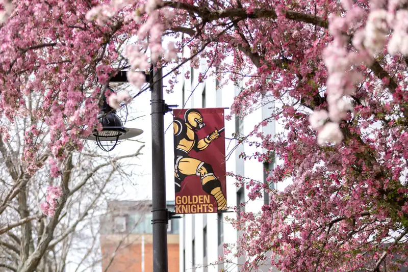 Golden Knights banner on light post surrounded by flowers