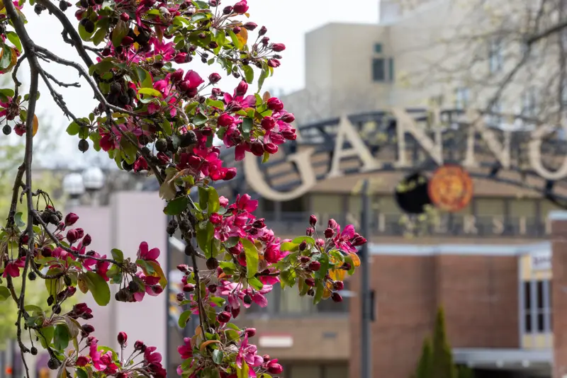 Hanging flowers from a tree positioned in the foreground with the ������Ƶ arch from the Erie campus in the background