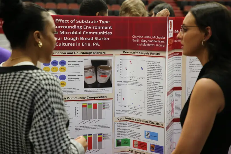 Students looking at a research poster