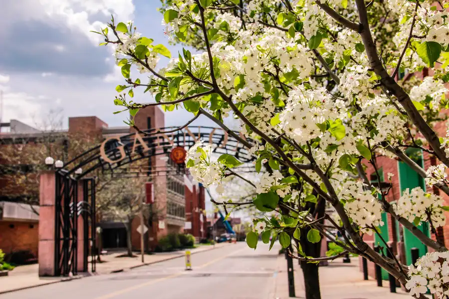 Spring flowers by the ˶ƽ Arch.